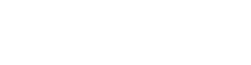 Ecommerized